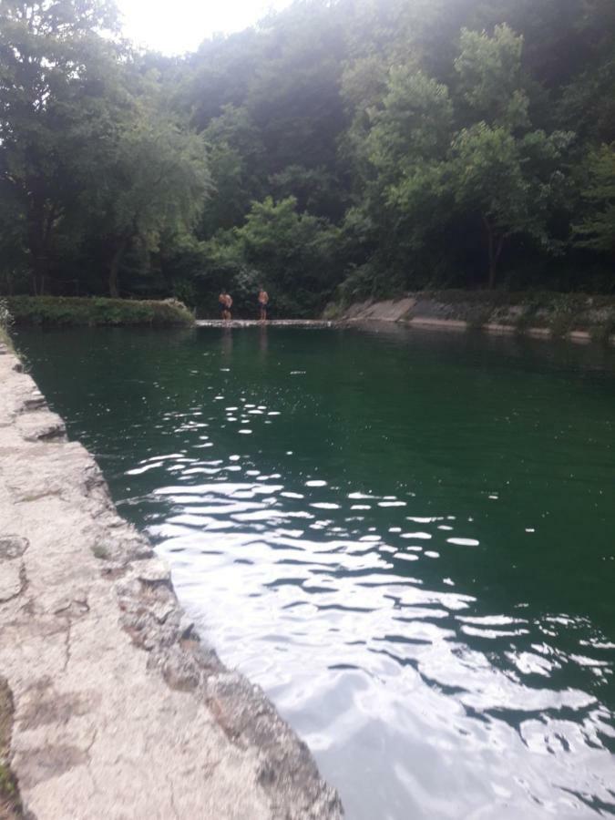 Tamuna Guest House Martvili Dış mekan fotoğraf